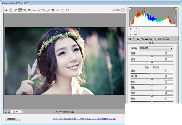 adobe camera raw 官方版