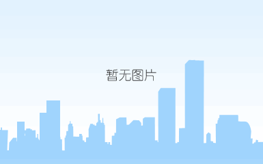 diskgenius v5.1.0.653专业版(32/64位)